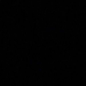 Meet your Posher, Caden